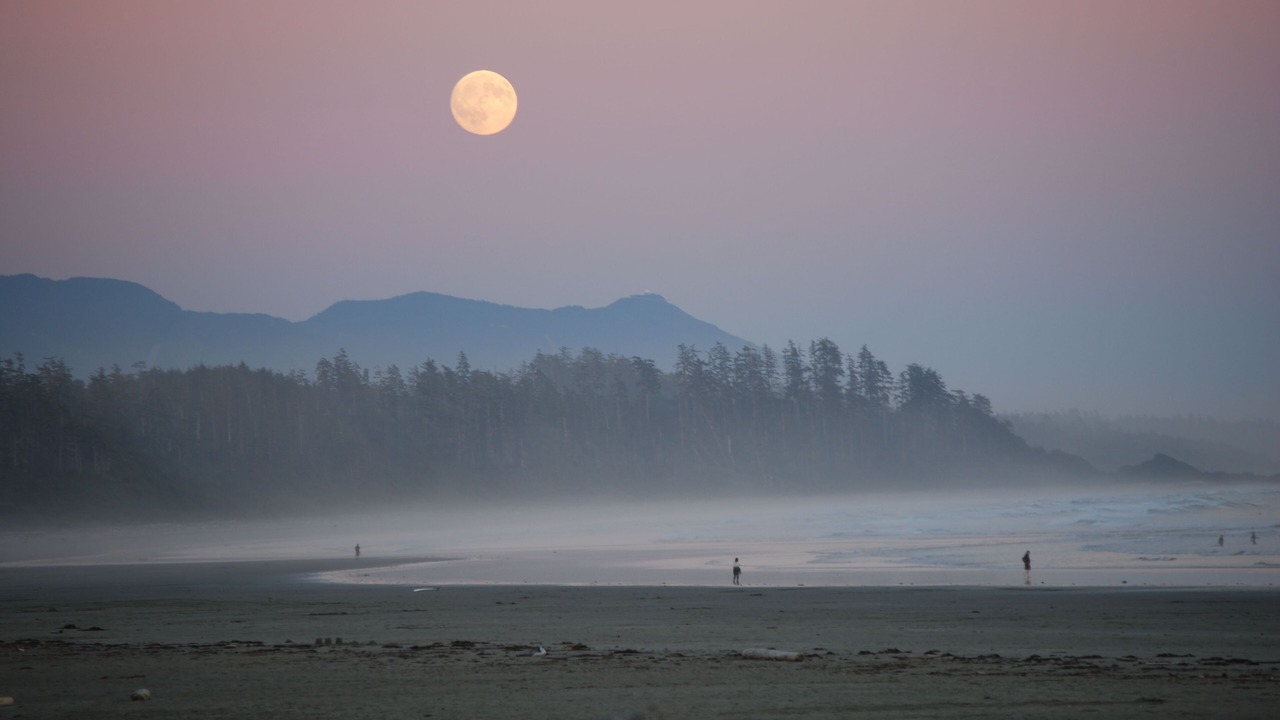 Photo of Others in Tofino
