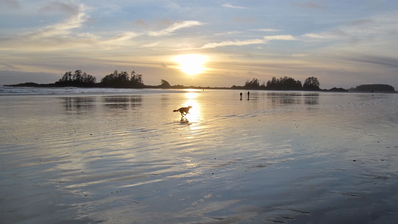 Photo of Others in Tofino