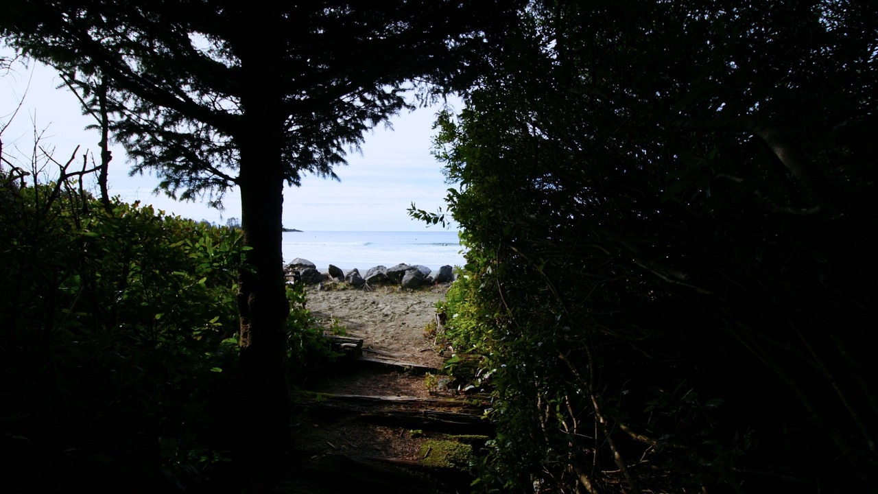 Photo of Others in Tofino