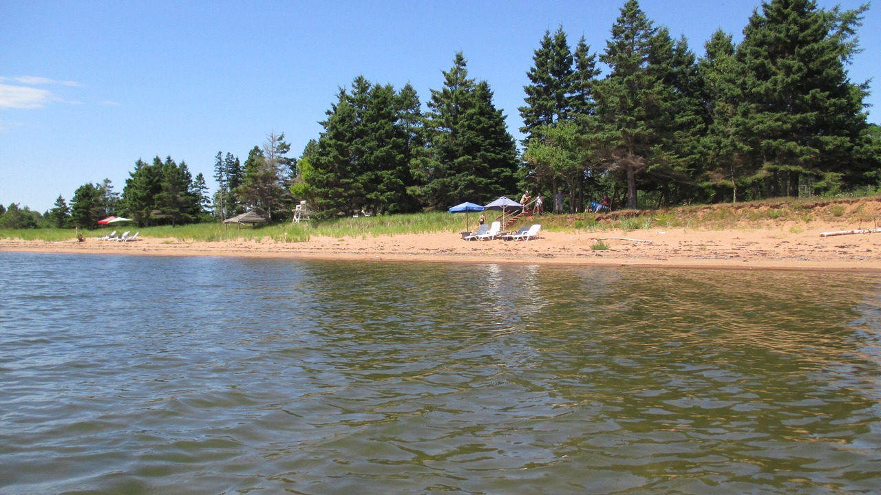 Photo of Others in Wood Islands