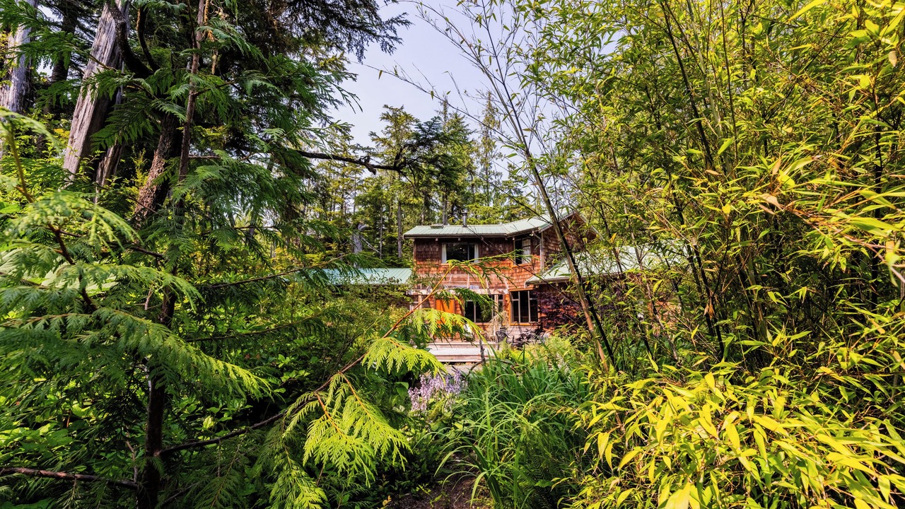 Photo of Outdoor in Tofino