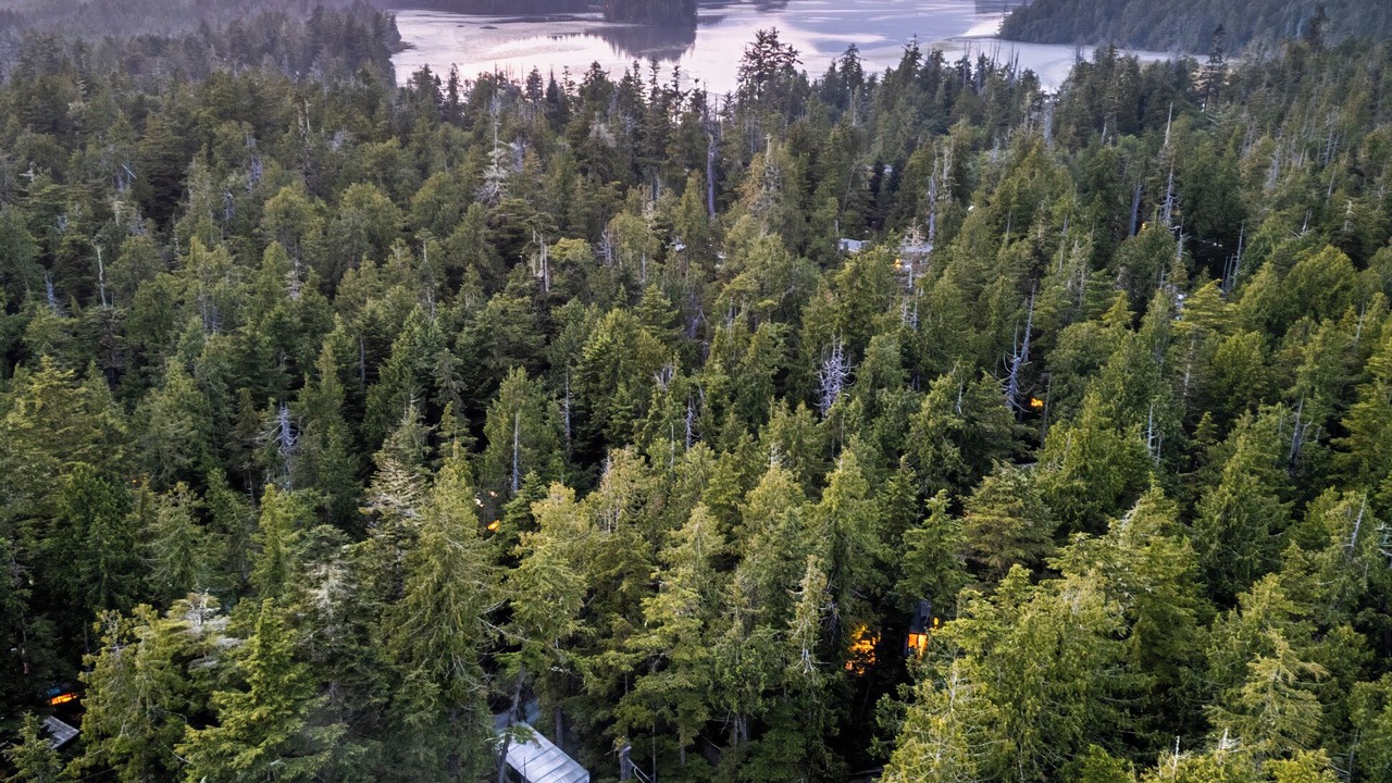 Photo of Outdoor in Tofino