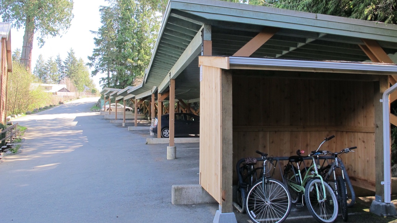 Photo of Others in Tofino