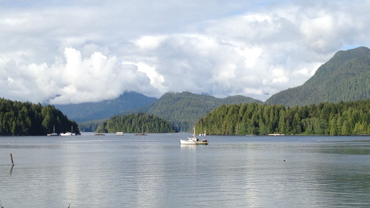 Photo of Others in Tofino