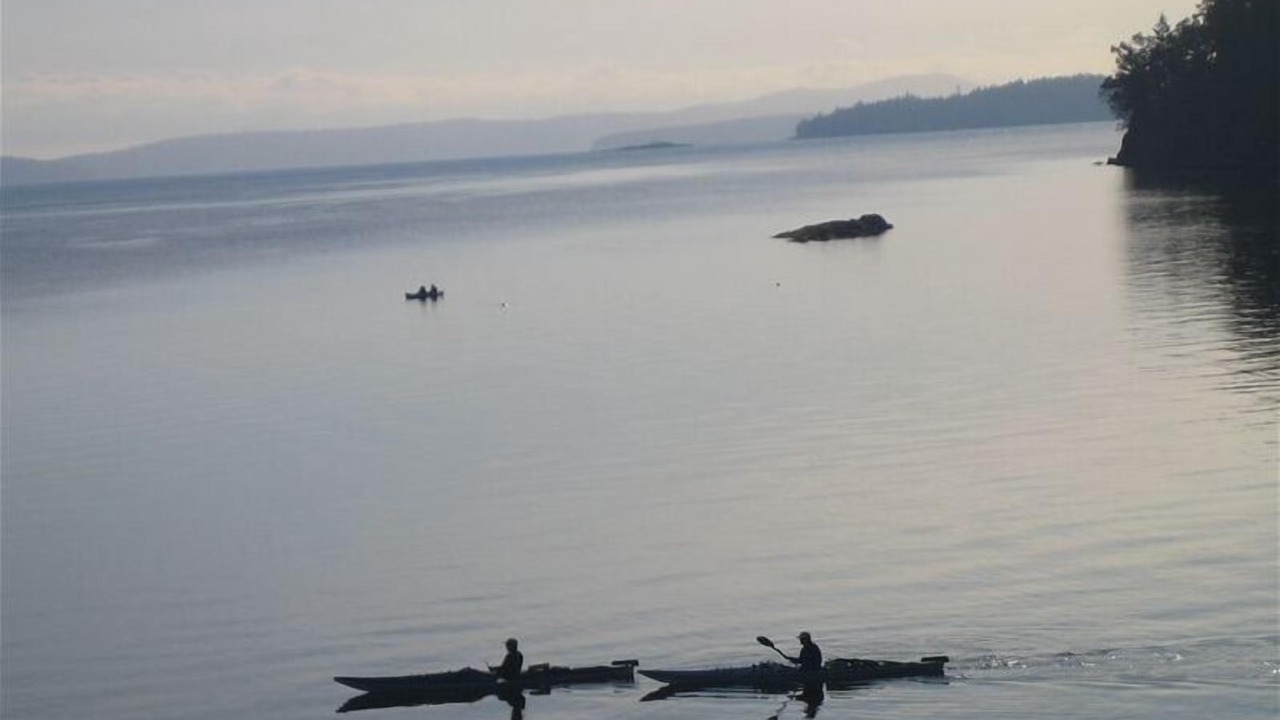 Photo of Others in North Oyster