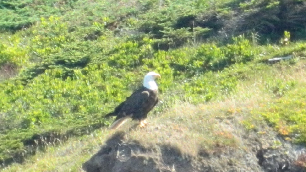Photo of Outdoor in Port Hood