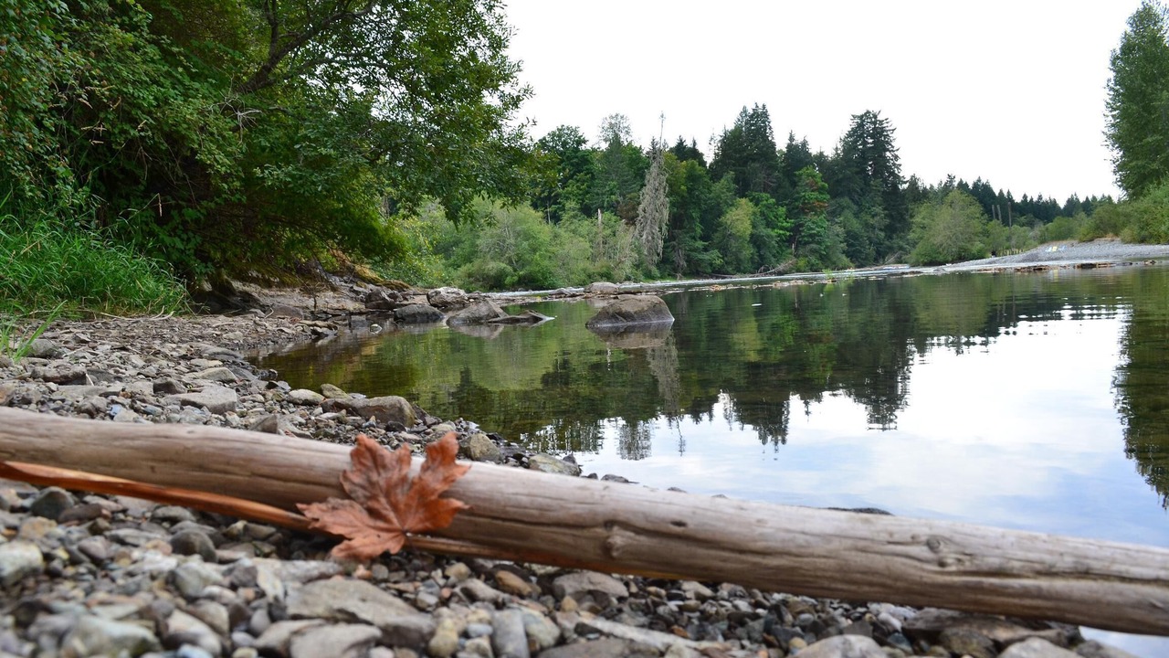 Photo of Others in Port Alberni