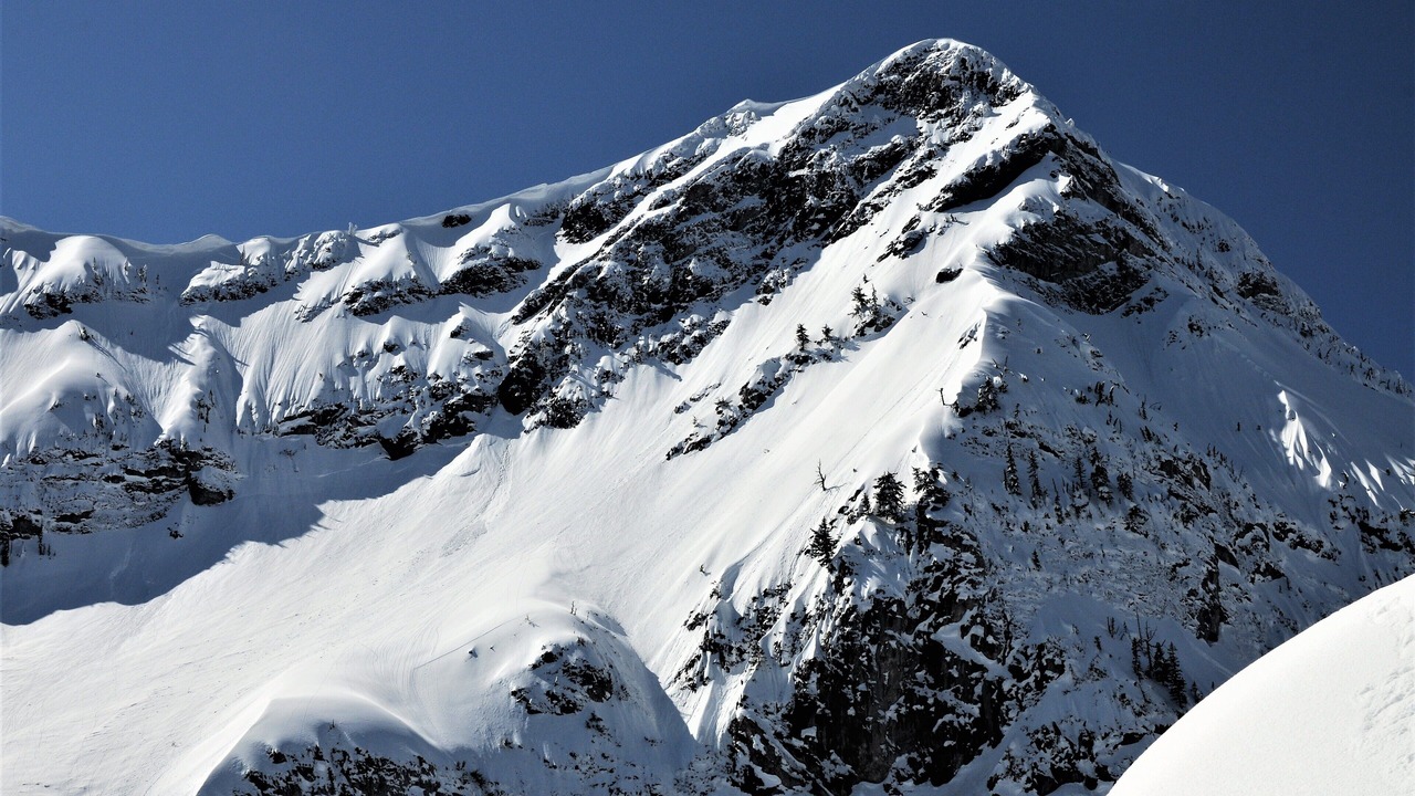 Photo of Others in Fernie