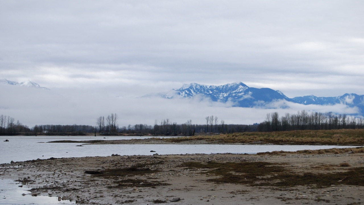 Photo of Others in Agassiz