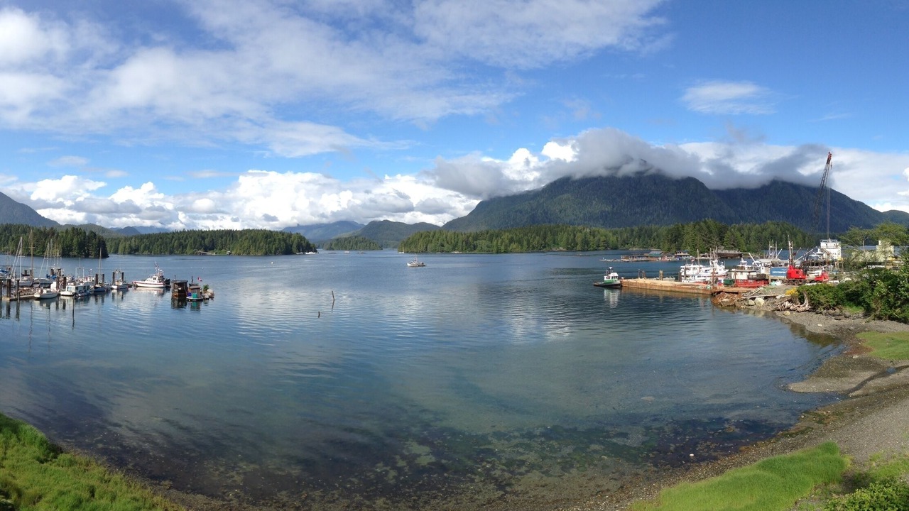 Photo of Others in Tofino