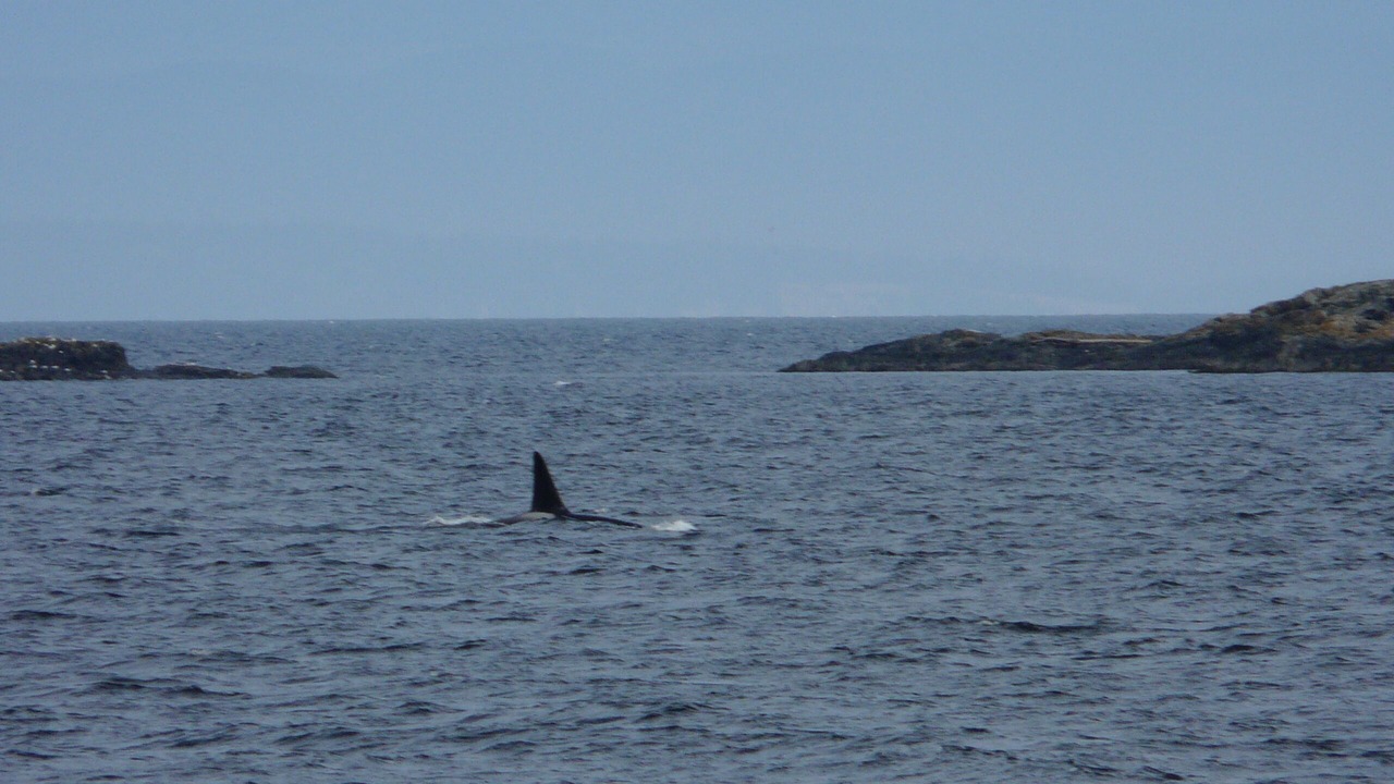 Photo of Others in Regional District of Nanaimo