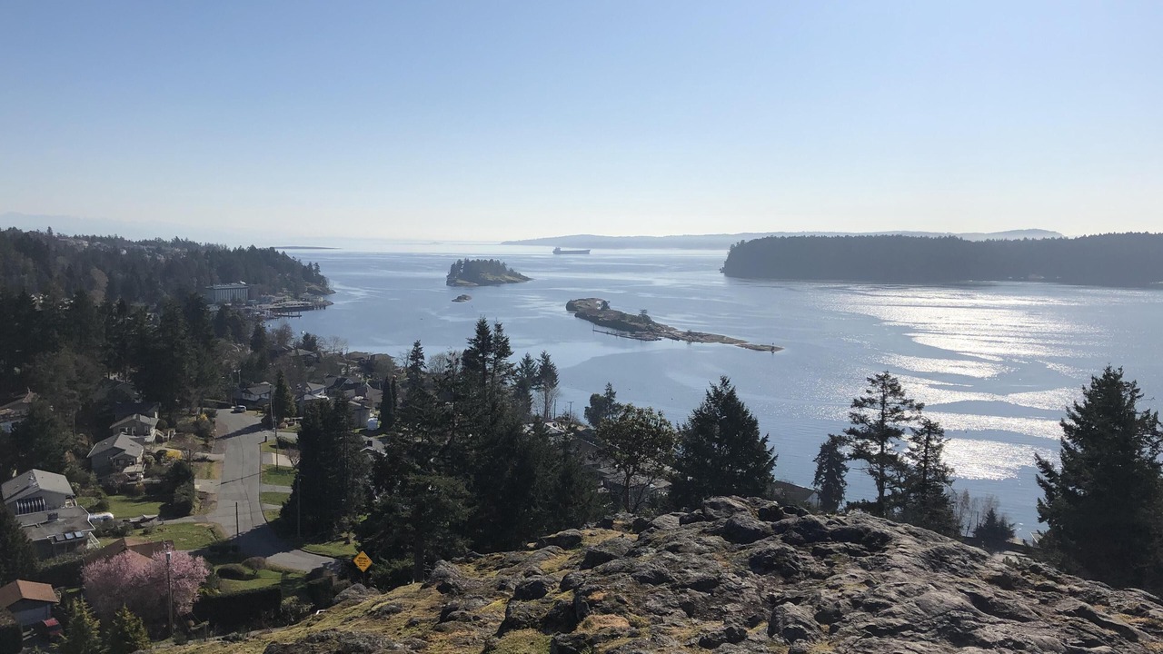 Photo of Others in Departure Bay