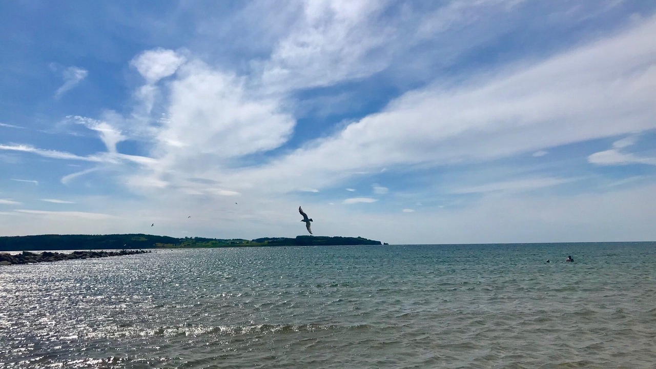 Photo of Others in Port Hood