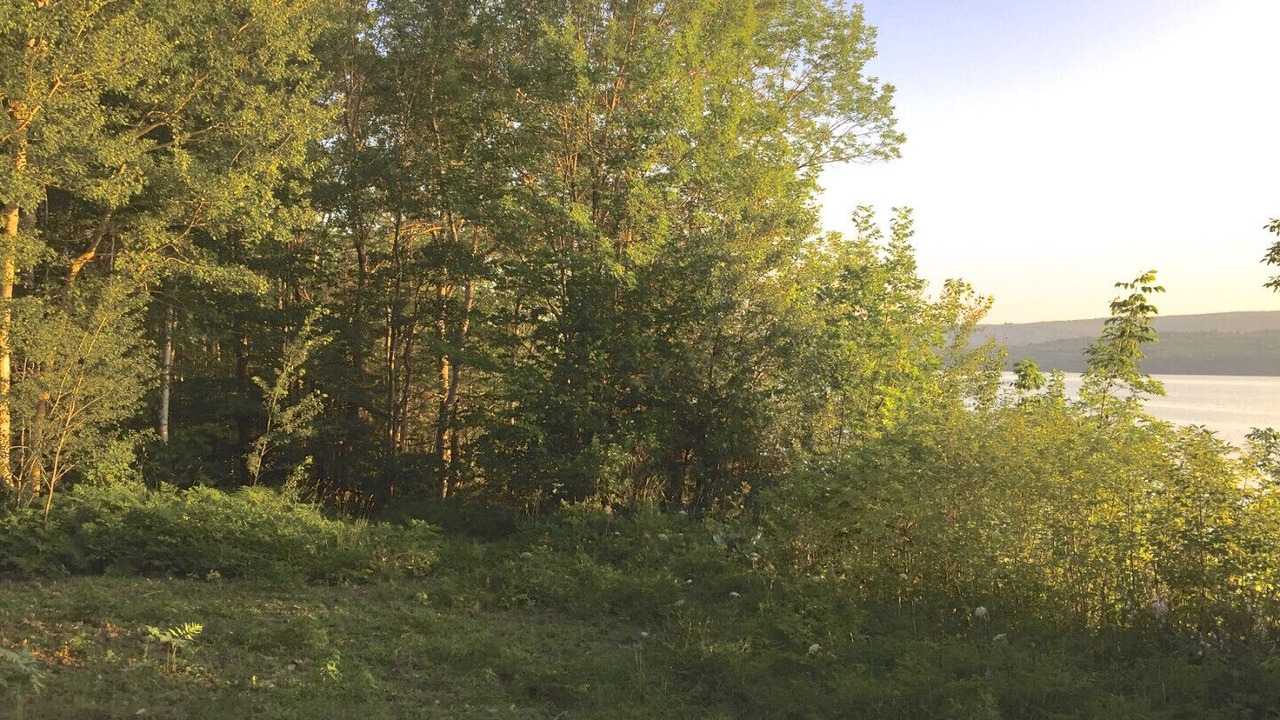 Photo of Outdoor in Glenville