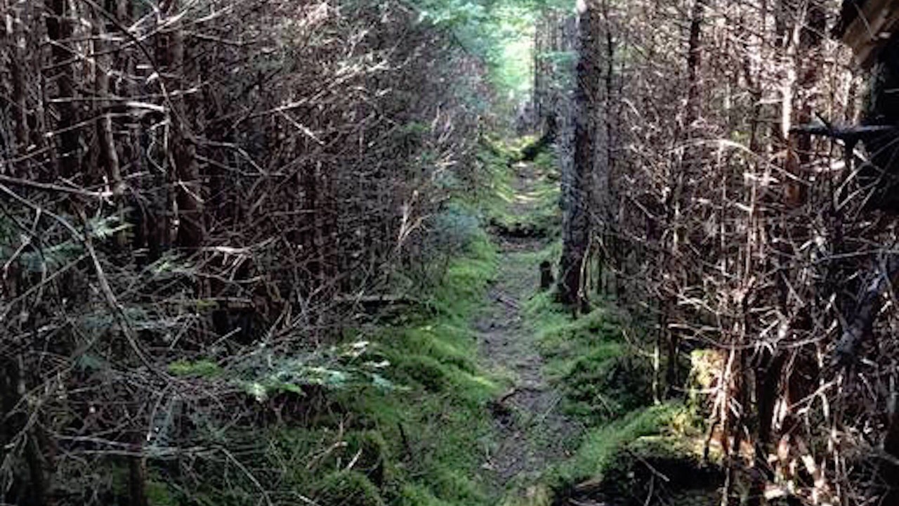 Photo of Outdoor in Saint Esprit