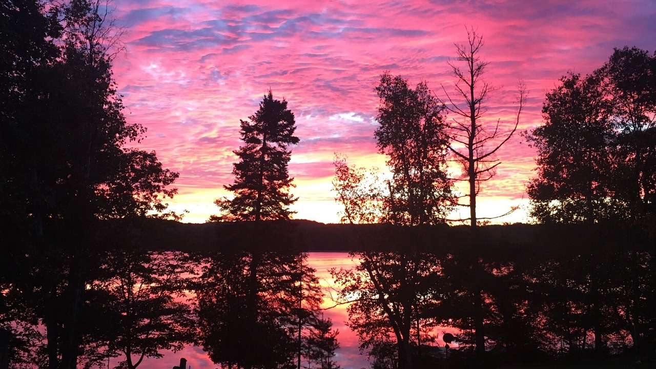 Photo of Others in Lake of Bays