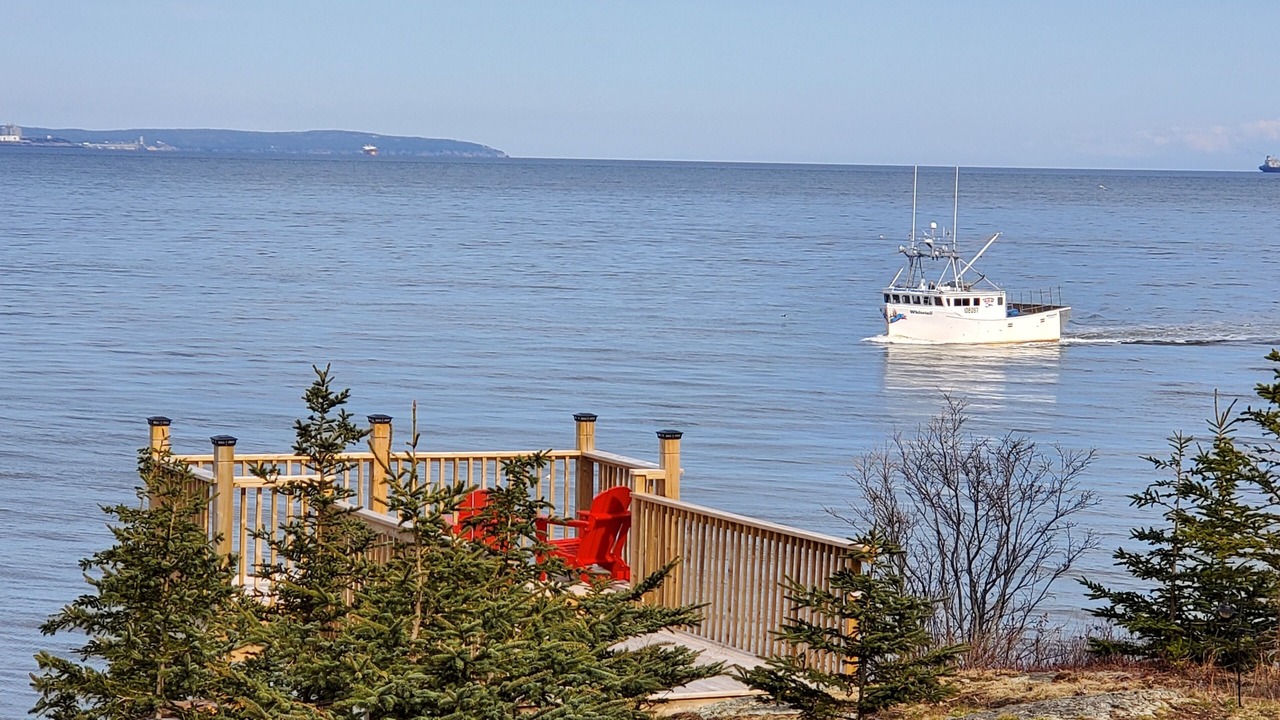 Photo of Others in Saint John