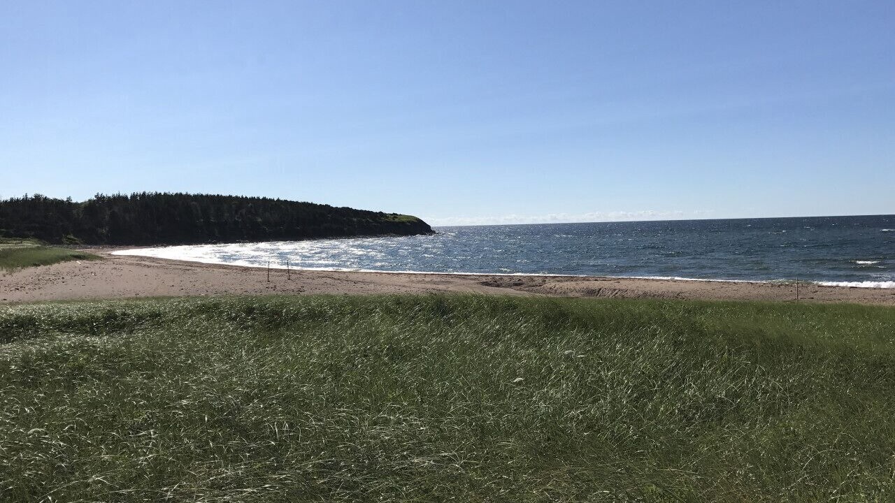 Photo of Others in Port Hood