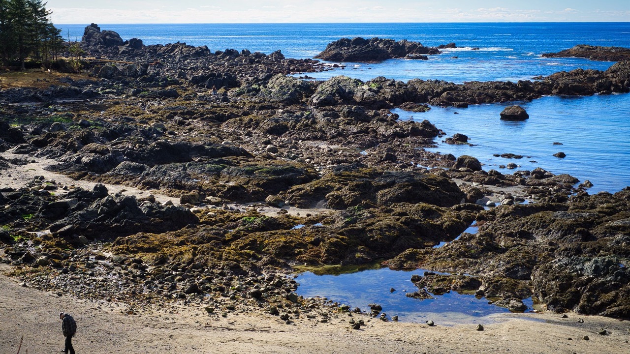 Photo of Others in Ucluelet