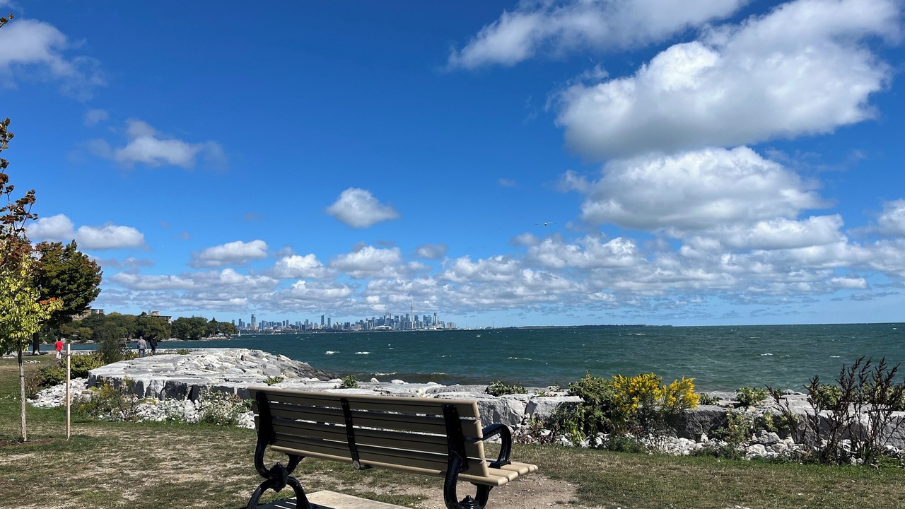 Photo of Others in New Toronto