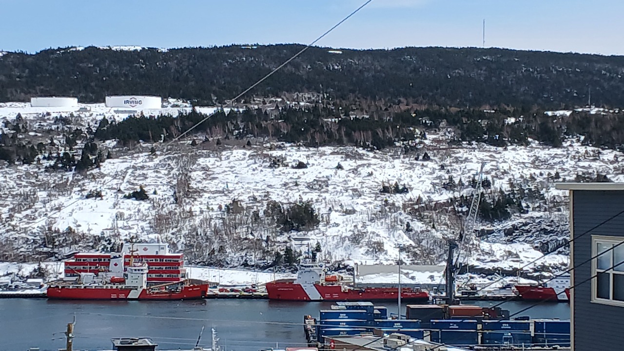 Photo of Others in Downtown St. John's