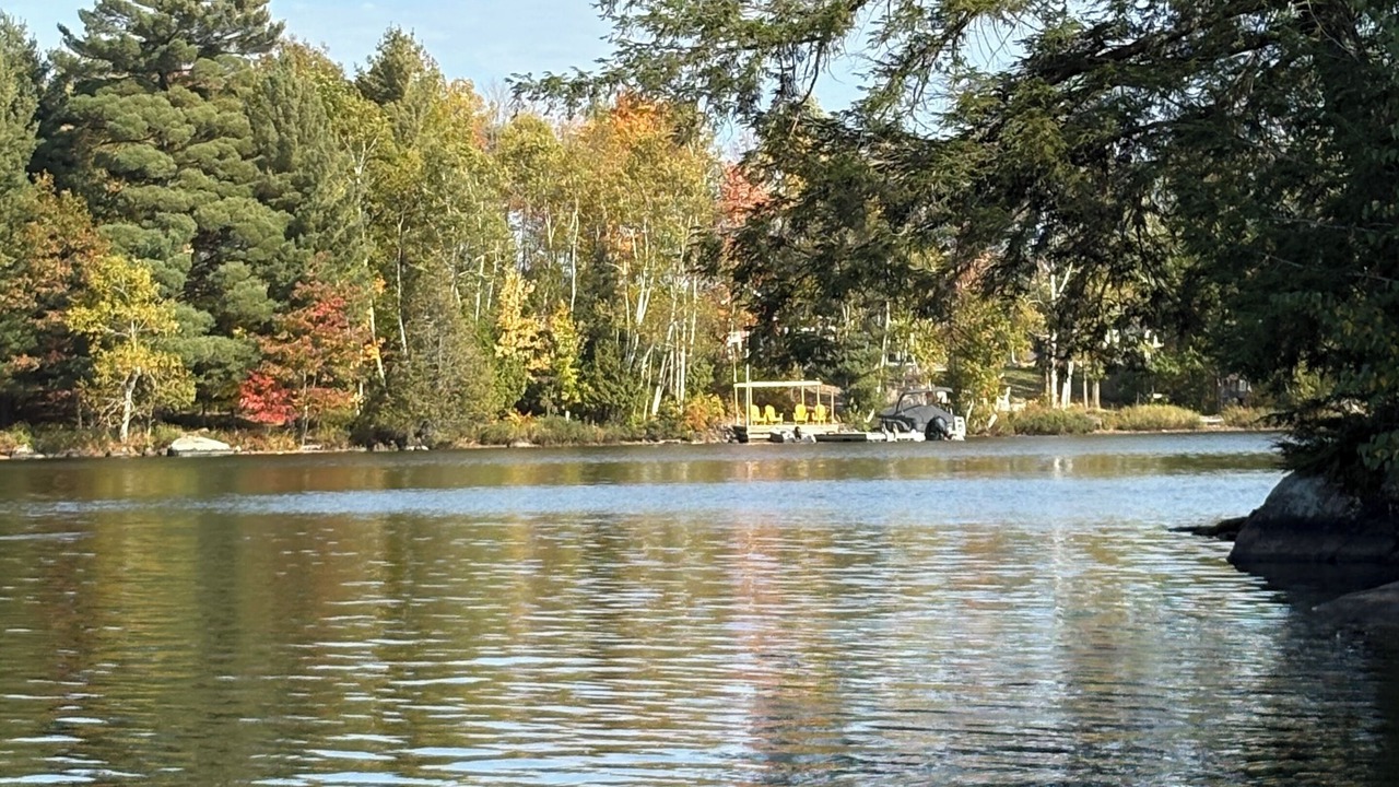 Photo of Others in McKellar