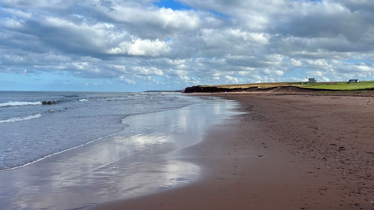 Photo of Others in Sea View