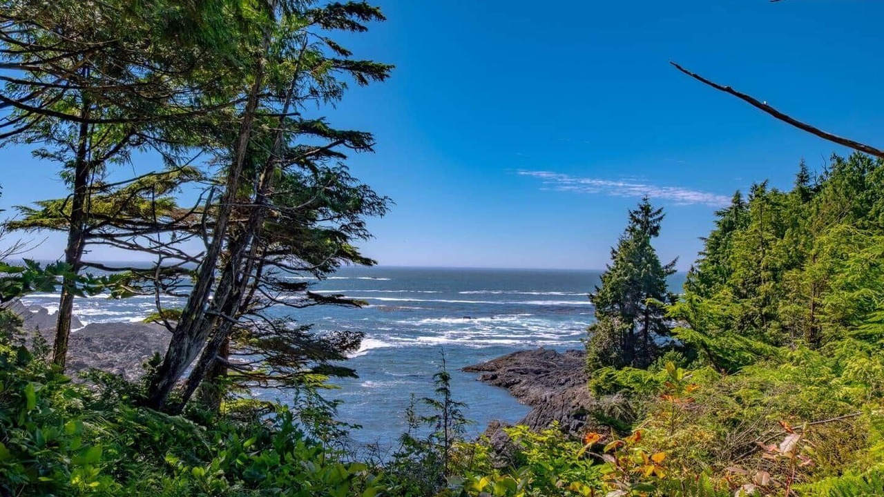 Photo of Outdoor in Ucluelet