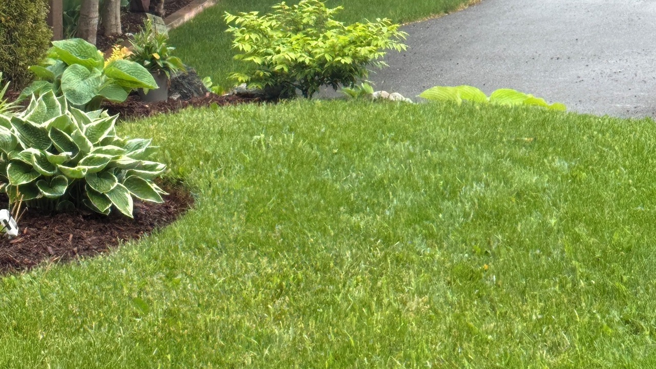 Photo of Outdoor in Goobies