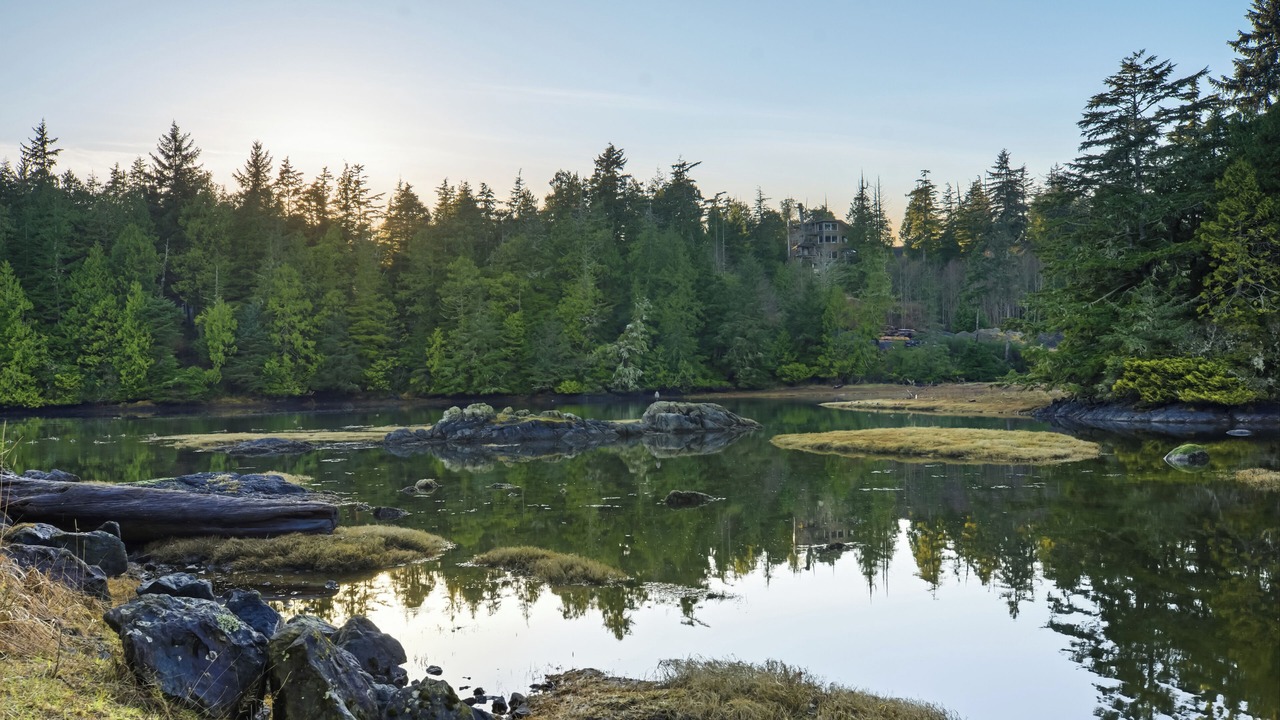 Photo of Others in Ucluelet