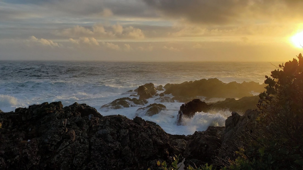 Photo of Others in Ucluelet