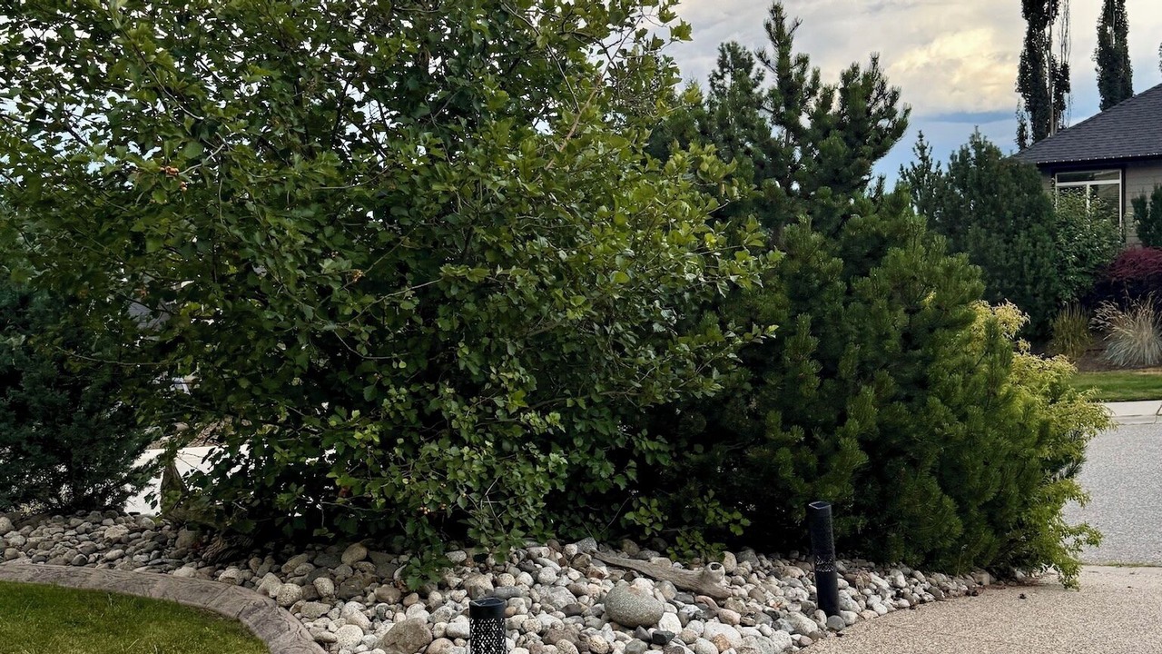Photo of Outdoor in Shannon Lake
