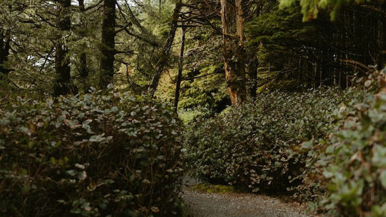 Photo of Others in Ucluelet