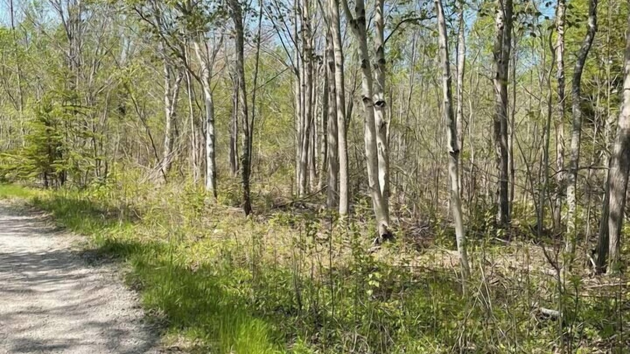 Photo of Others in Cape Breton Regional Municipality