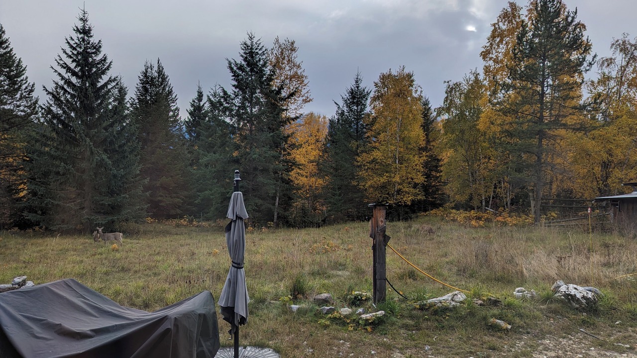 Photo of Outdoor in Blaeberry