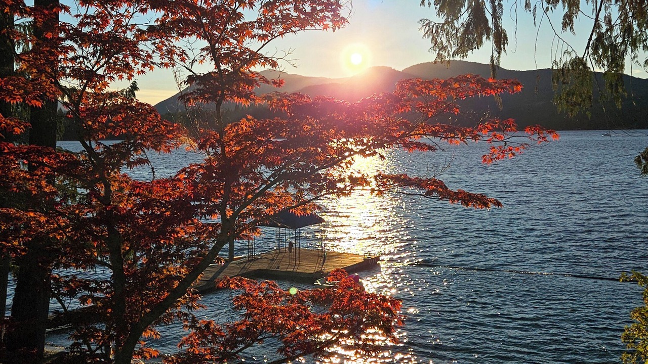 Photo of Others in Port Alberni