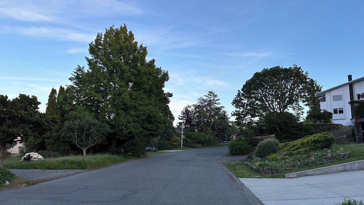 Photo of Others in Saanich East