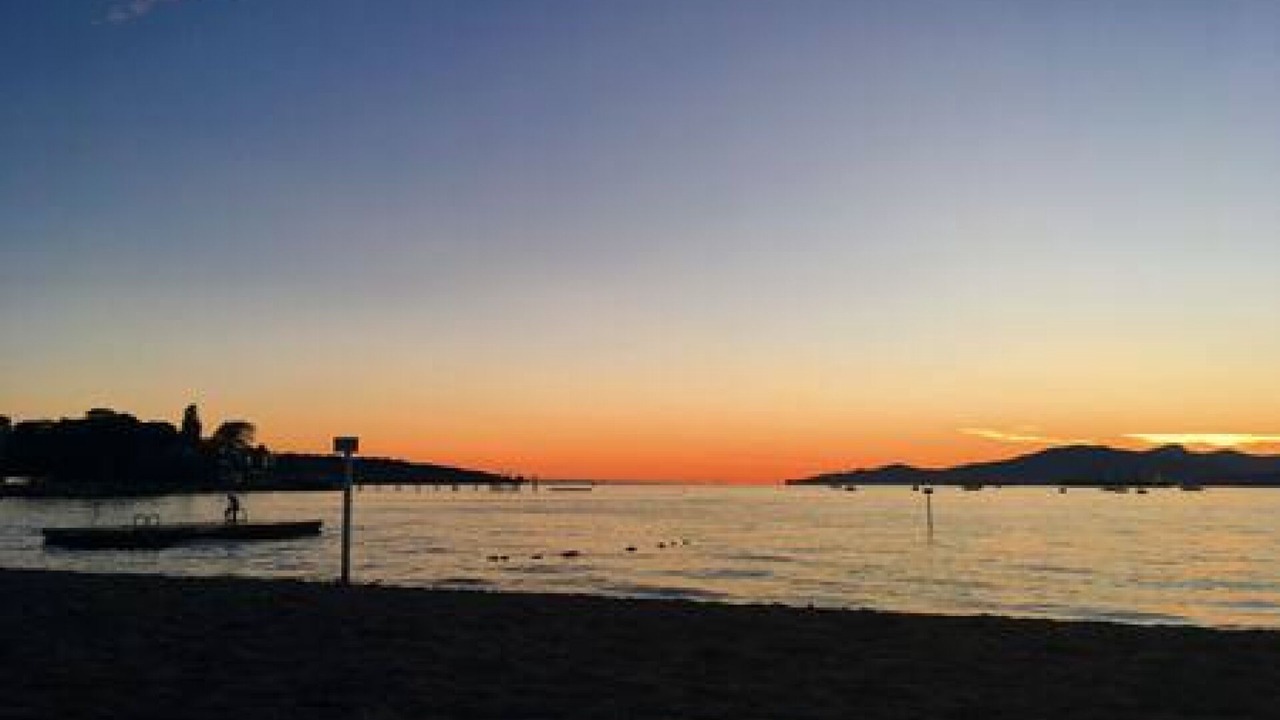 Photo of Others in Kitsilano