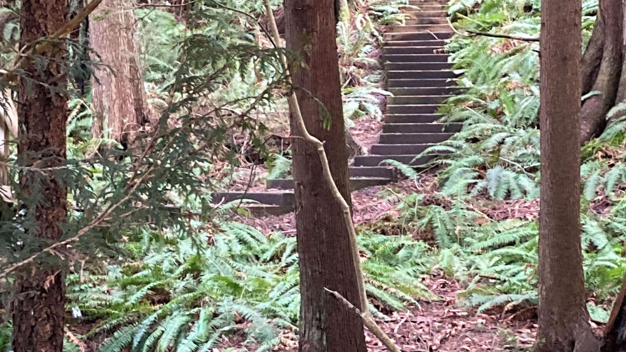 Photo of Outdoor in Bowen Island