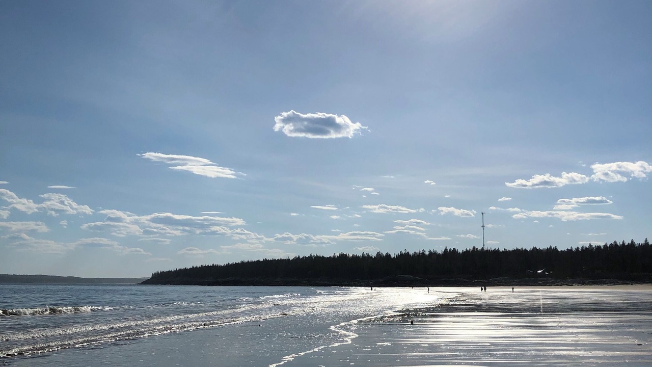 Photo of Others in Lepreau