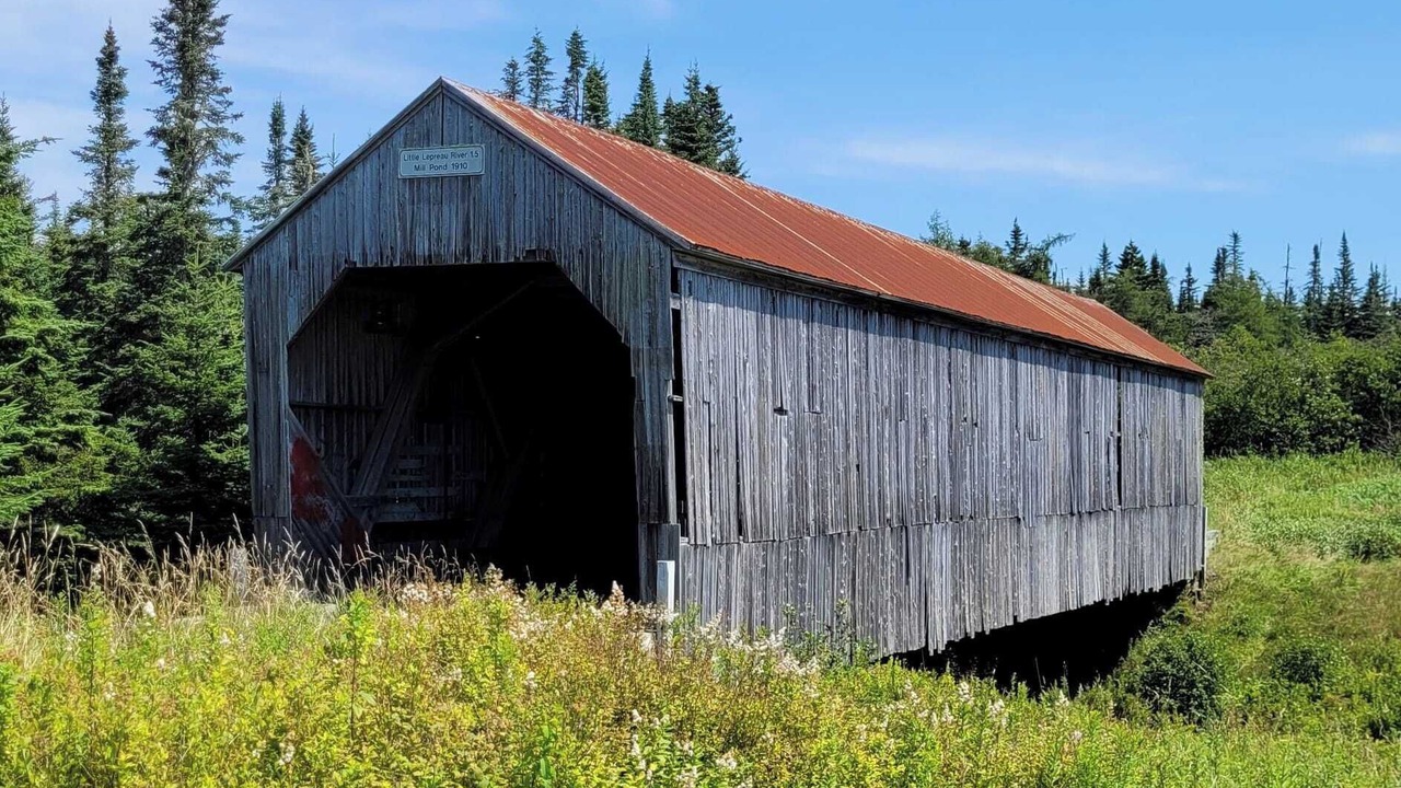 Photo of Outdoor in Lepreau