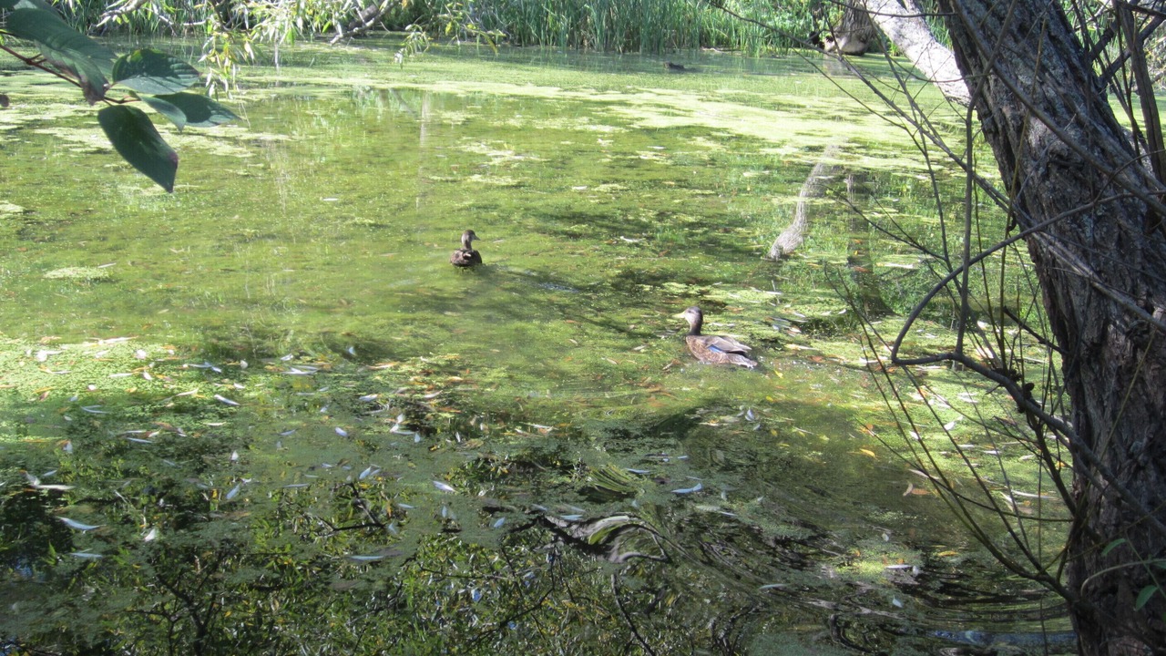 Photo of Others in St. Catharines