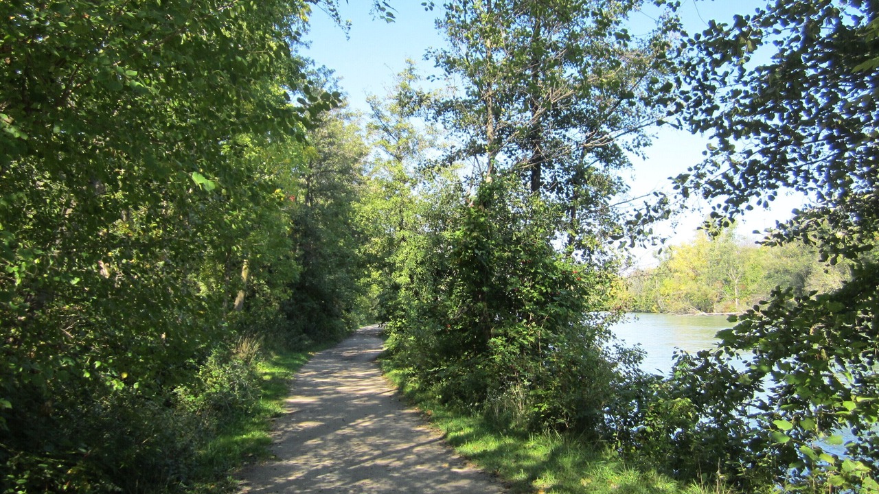 Photo of Others in St. Catharines