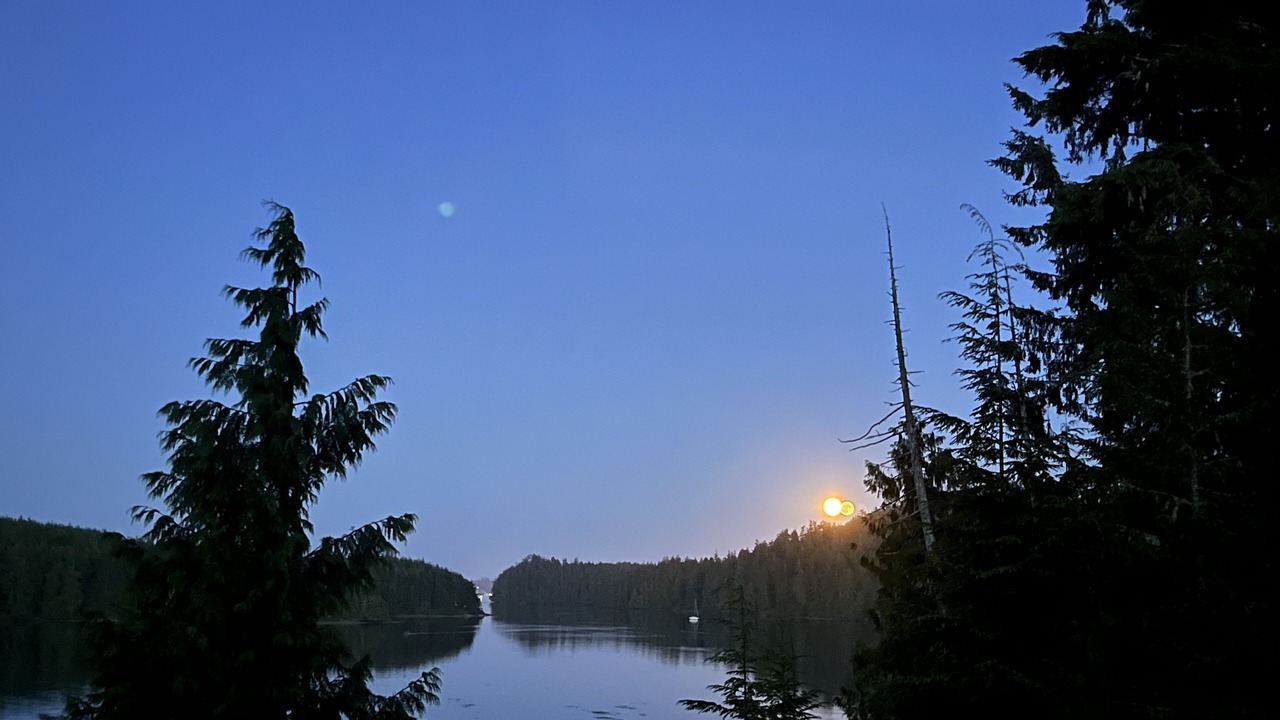 Photo of Others in Ucluelet
