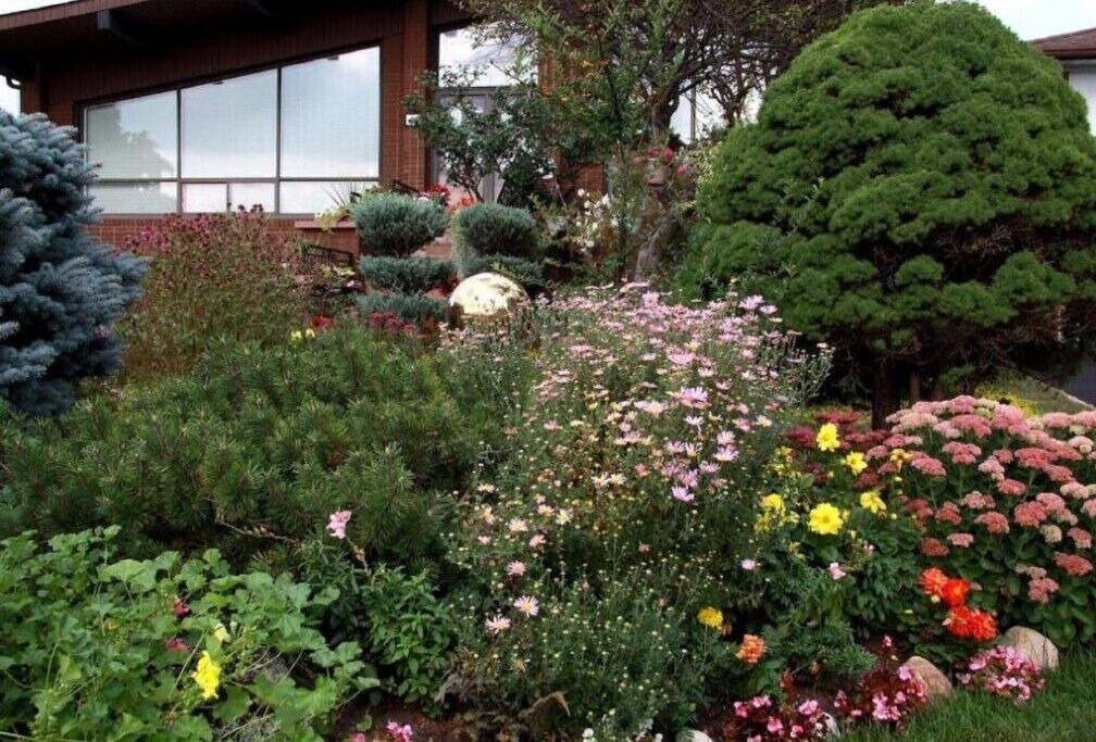 Photo of Outdoor in Humber Summit