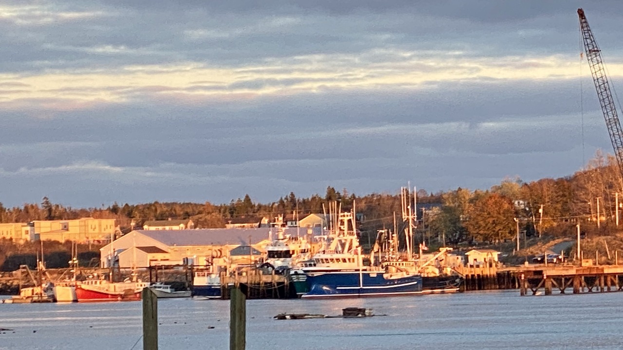Photo of Others in Blacks Harbour