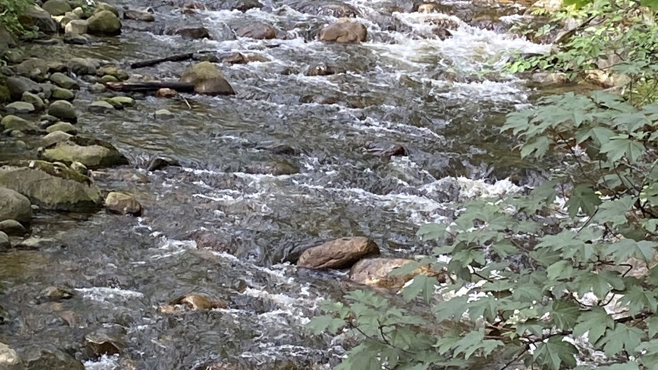 Photo of Others in West Vancouver