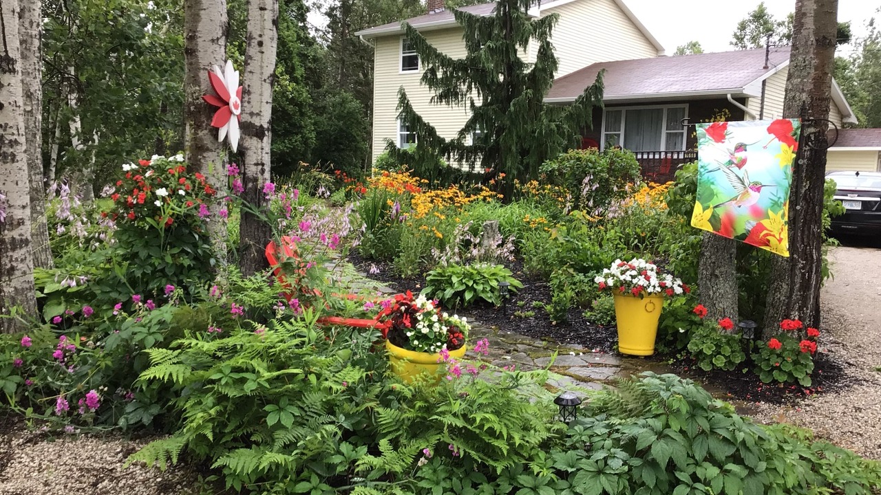 Photo of Outdoor in Cape Breton Island
