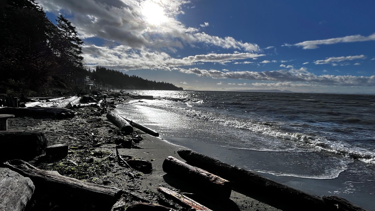 Photo of Others in Tsawwassen
