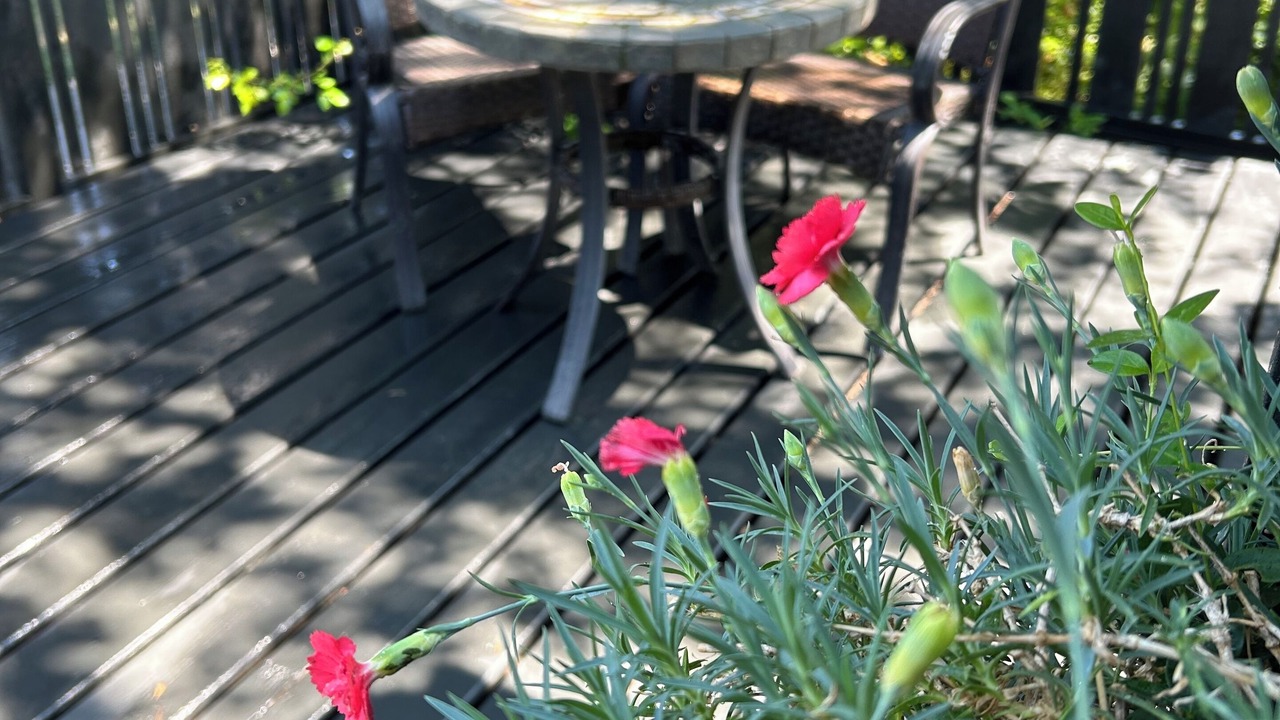Photo of Outdoor in Fairfield